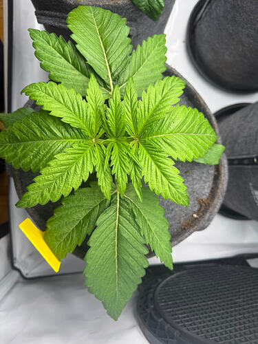 Growreport Bild 18
