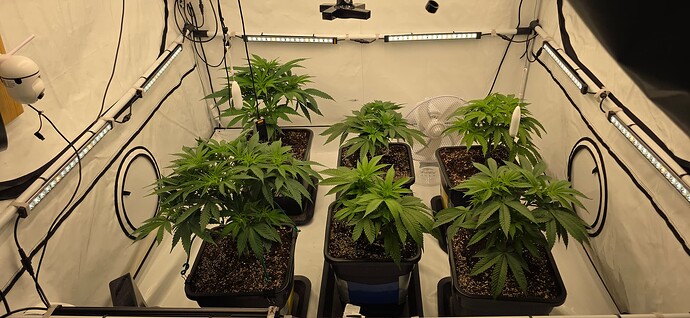 Growreport Bild 40