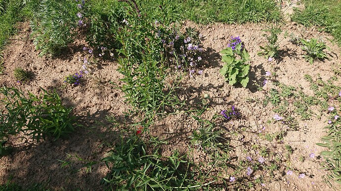 Growreport Bild 33