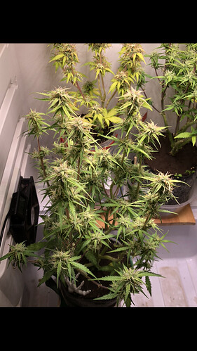 Growreport Bild 10