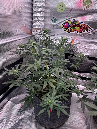Growreport Bild 12