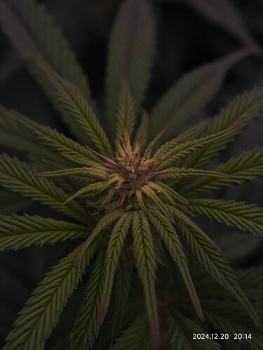 Growreport Bild 12