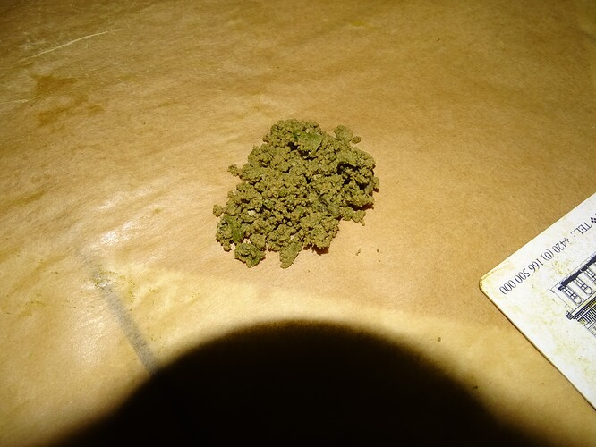 Growreport Bild 35