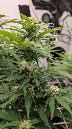 Growreport Bild 22
