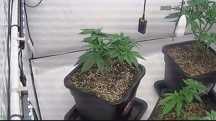 Growreport Bild 17