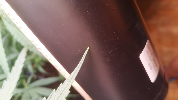 Growreport Bild 5