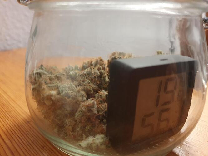 Growreport Bild 15
