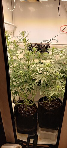 Growreport Bild 2