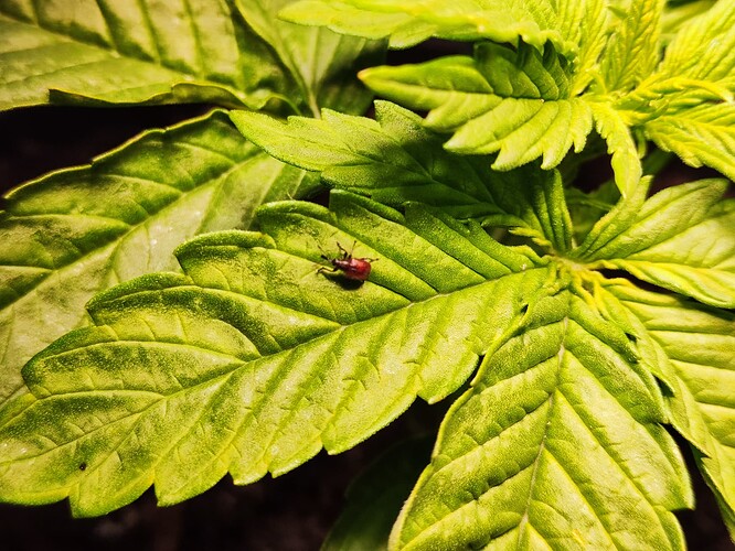 Growreport Bild 11