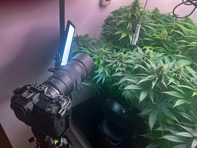 Growreport Bild 10