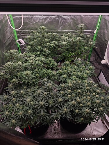 Growreport Bild 14