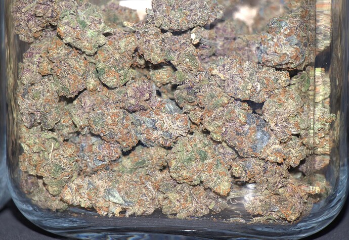 Growreport Bild 58