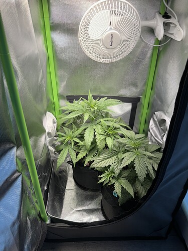 Growreport Bild 10
