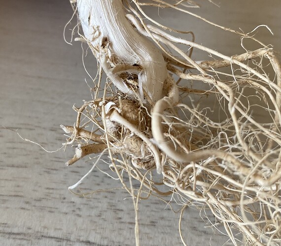 Growreport Bild 2