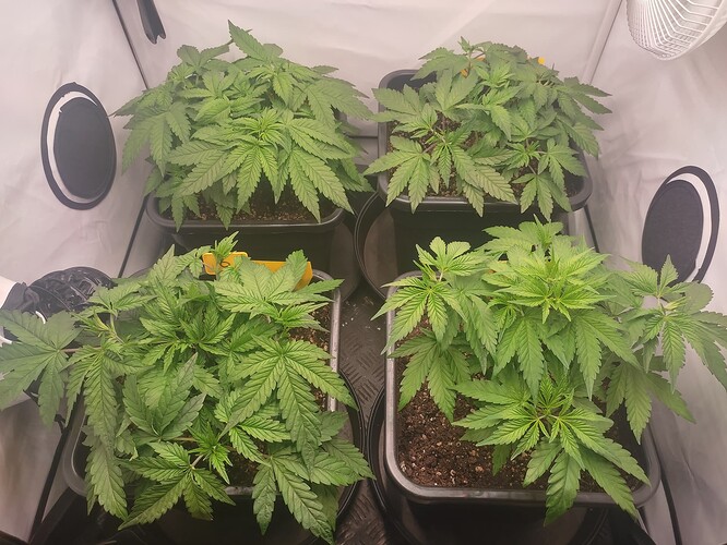 Growreport Bild 18