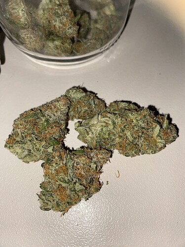 Growreport Bild 4