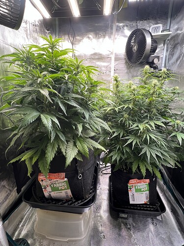 Growreport Bild 12