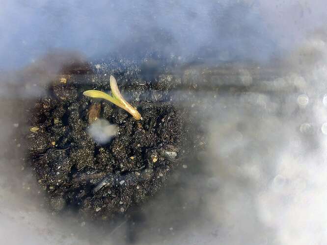Growreport Bild 12