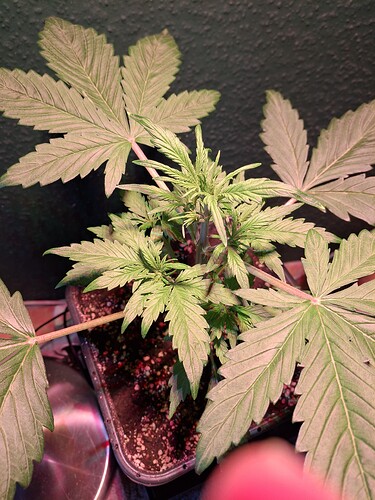 Growreport Bild 14
