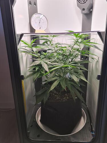 signal-2024-07-29-162924_003