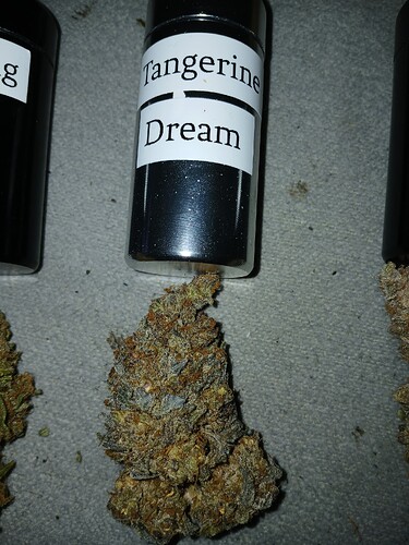 Growreport Bild 29