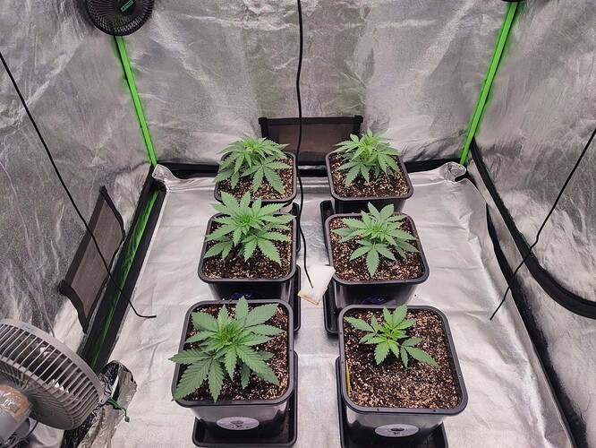 Growreport Bild 1