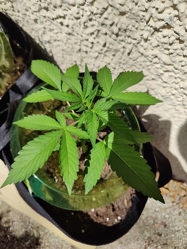 Growreport Bild 5