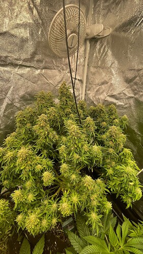 Growreport Bild 14