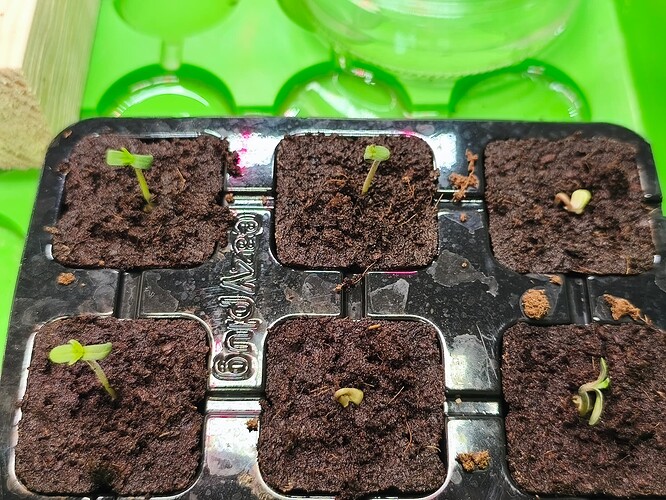 Growreport Bild 9