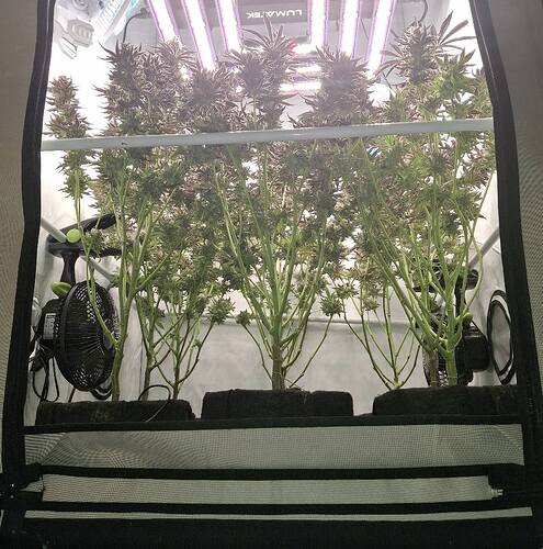Growreport Bild 9