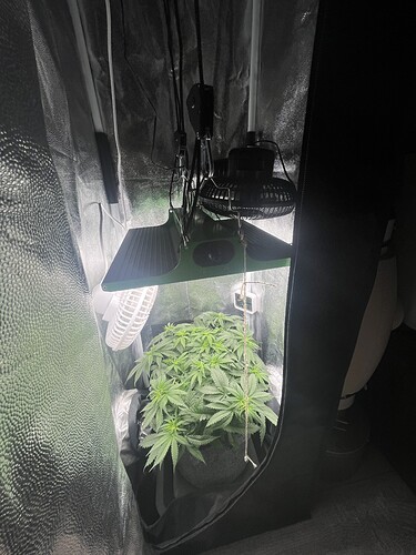 Growreport Bild 34