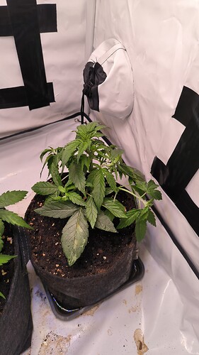 Growreport Bild 14