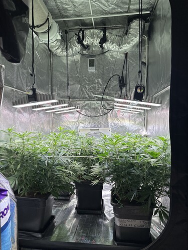 Growreport Bild 2
