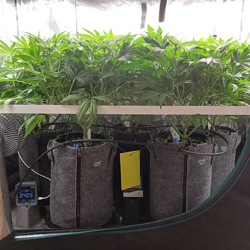 Growreport Bild 15