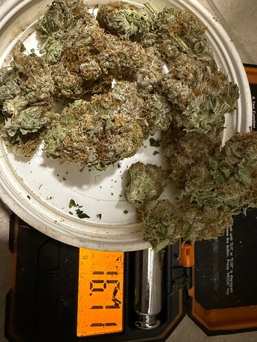 Growreport Bild 11