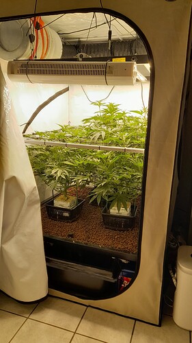 Growreport Bild 1