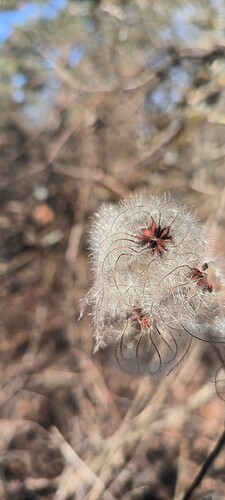 Growreport Bild 10