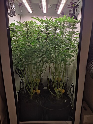 Growreport Bild 21
