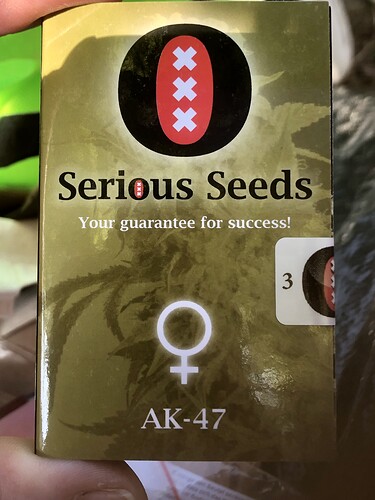 Growreport Bild 7