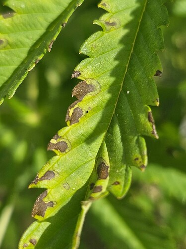 Growreport Bild 12