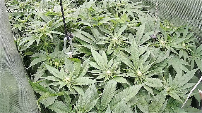 Growreport Bild 14