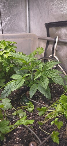 Growreport Bild 11