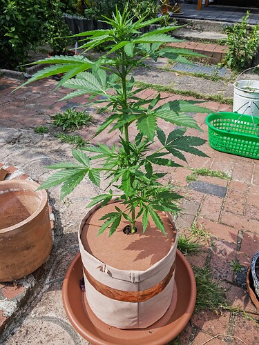 Growreport Bild 10