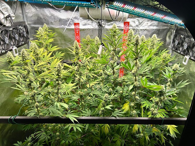 Growreport Bild 2