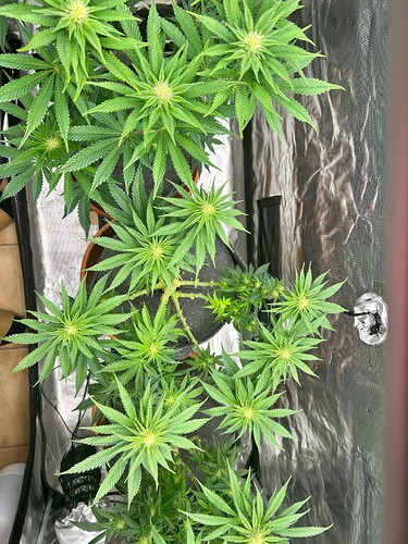 Growreport Bild 10