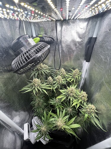 Growreport Bild 1