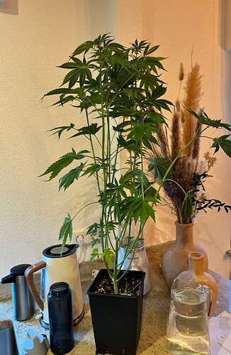 Growreport Bild 21
