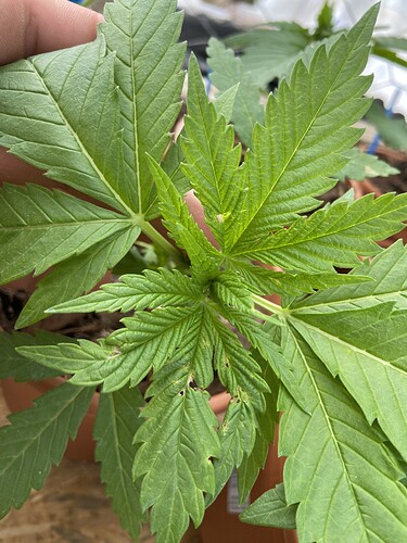 Growreport Bild 7