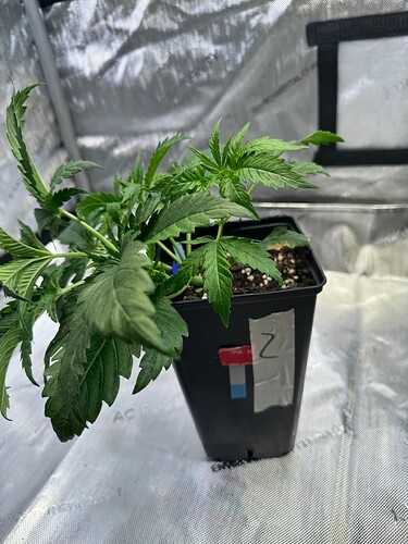 Growreport Bild 17