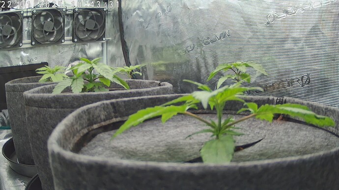 Growreport Bild 14